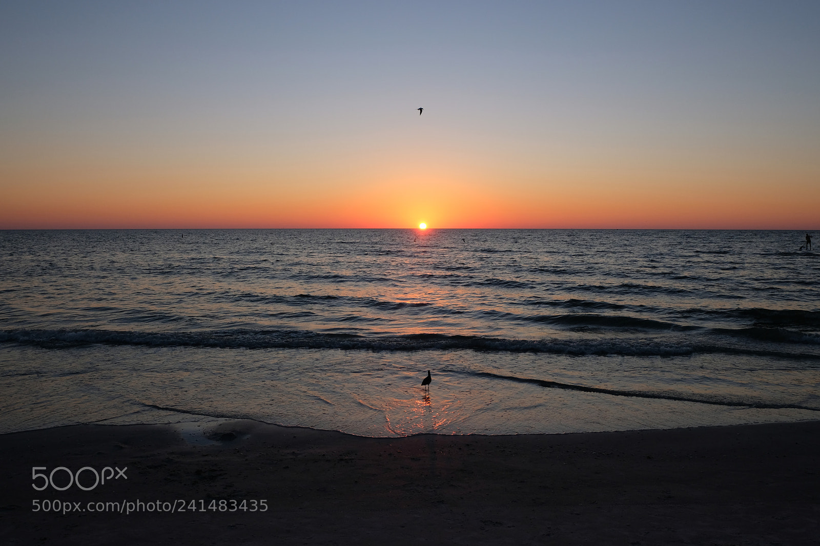 Fujifilm X-E3 sample photo. Birds at sunset photography