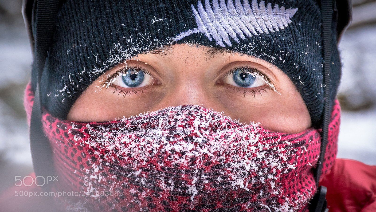 Nikon D7100 sample photo. -31°c photography
