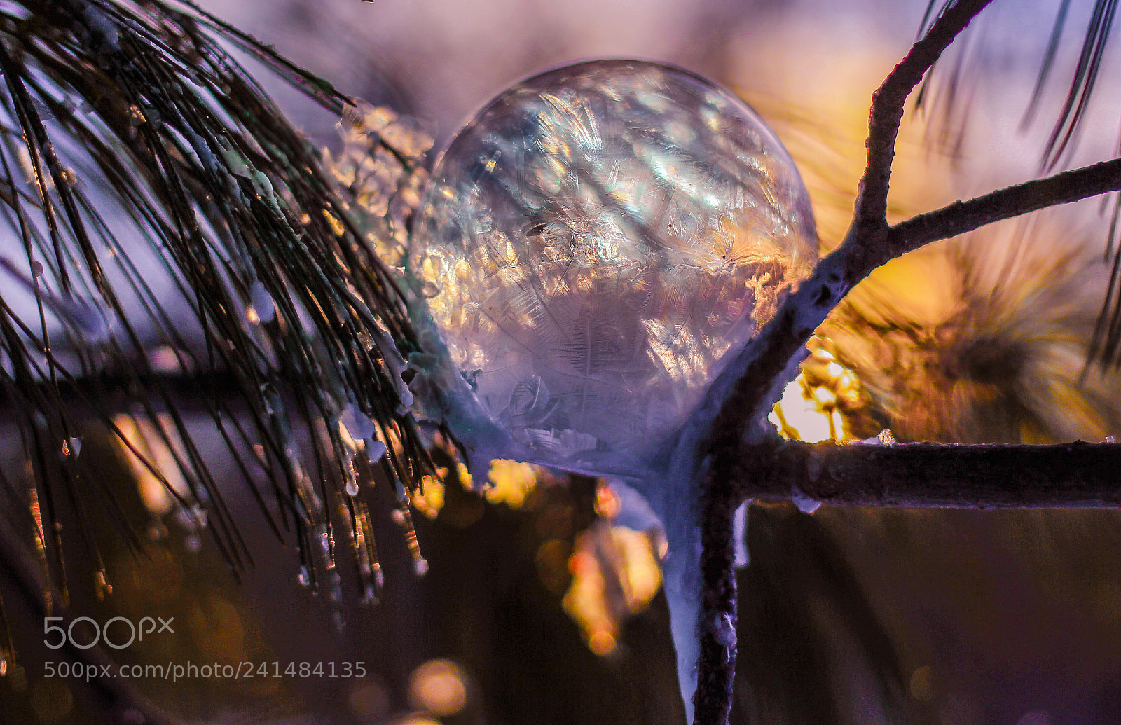 Canon EOS 60D sample photo. Frozen bubble 1 photography