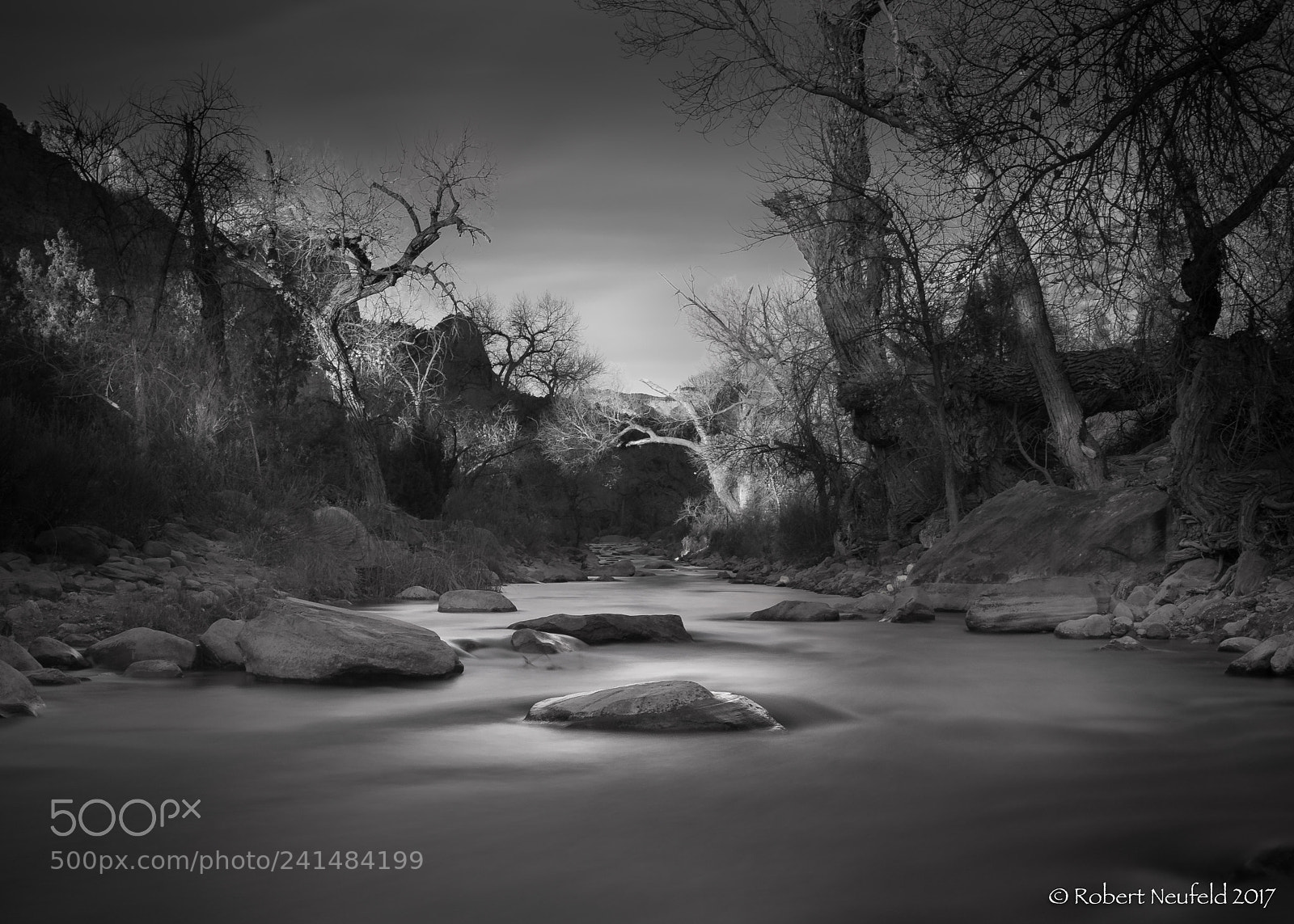 Nikon D810 sample photo. The virgin river photography