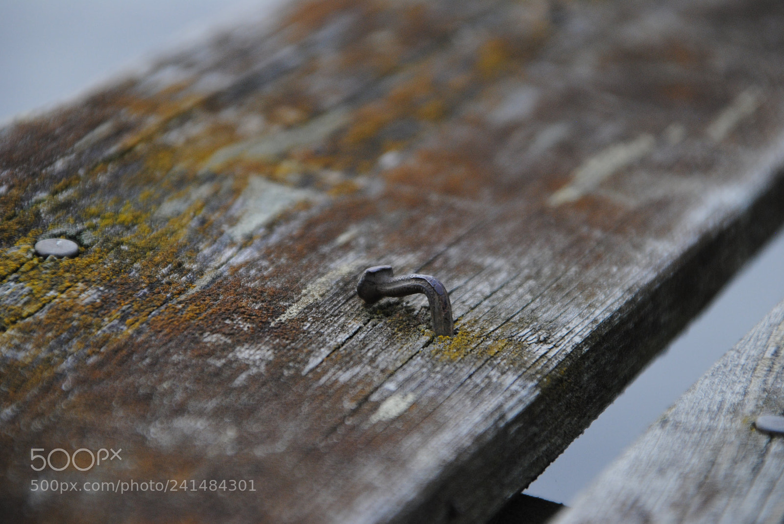 Nikon D3000 sample photo. Untitled photography
