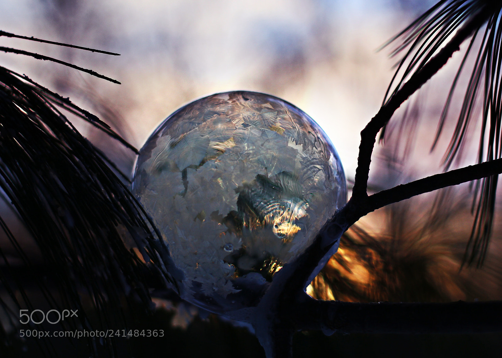 Canon EOS 60D sample photo. Frozen bubble ii photography