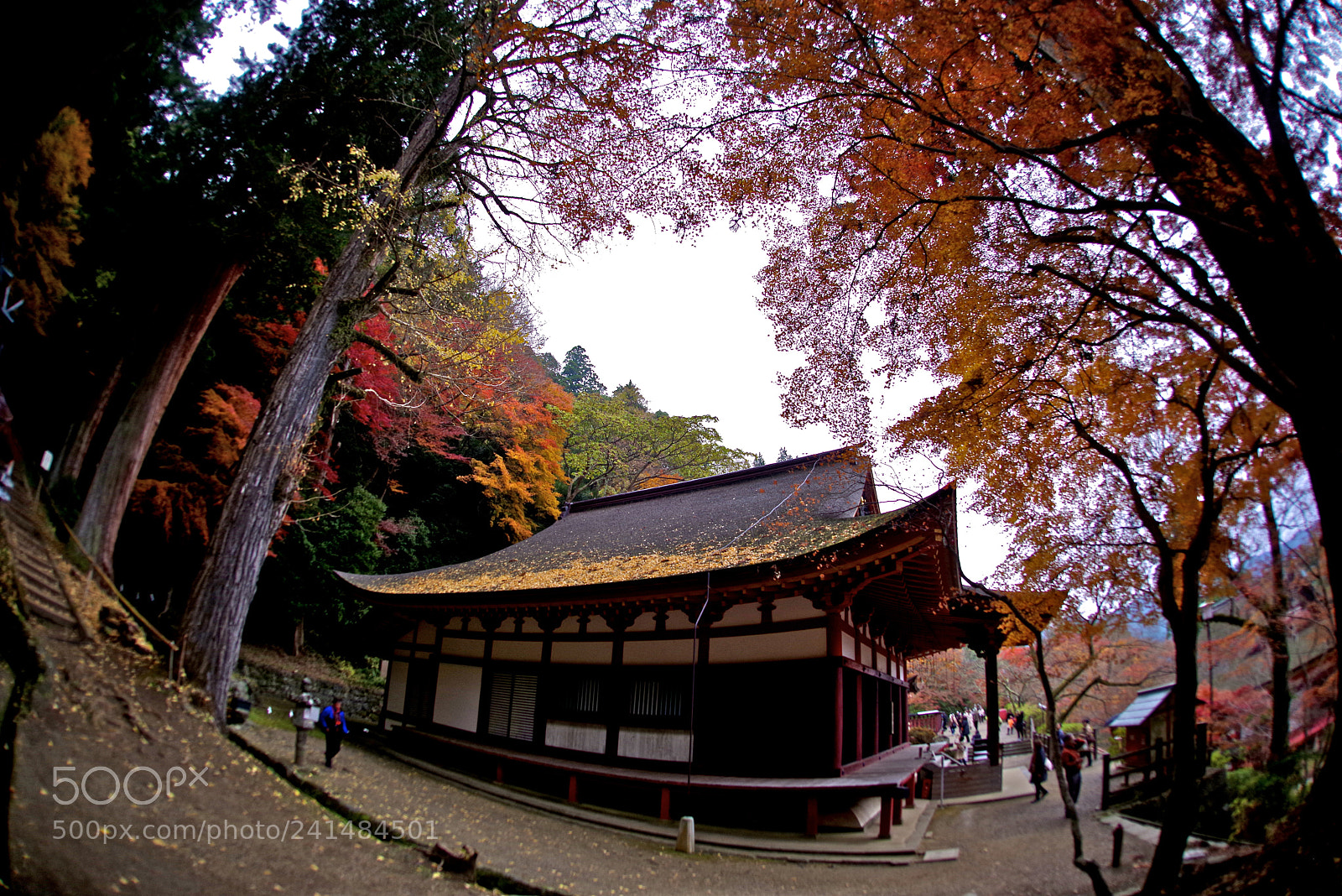 Pentax K-1 sample photo. Tanzan shrine photography