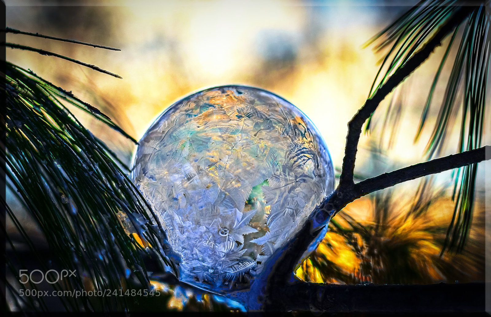 Canon EOS 60D sample photo. Frozon bubble iii photography
