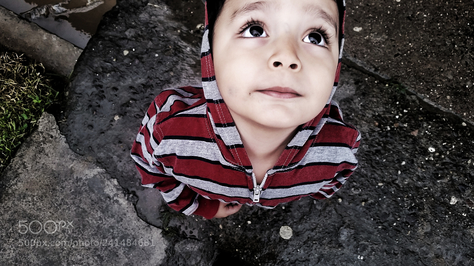 Samsung Galaxy S5 sample photo. You have to be photography