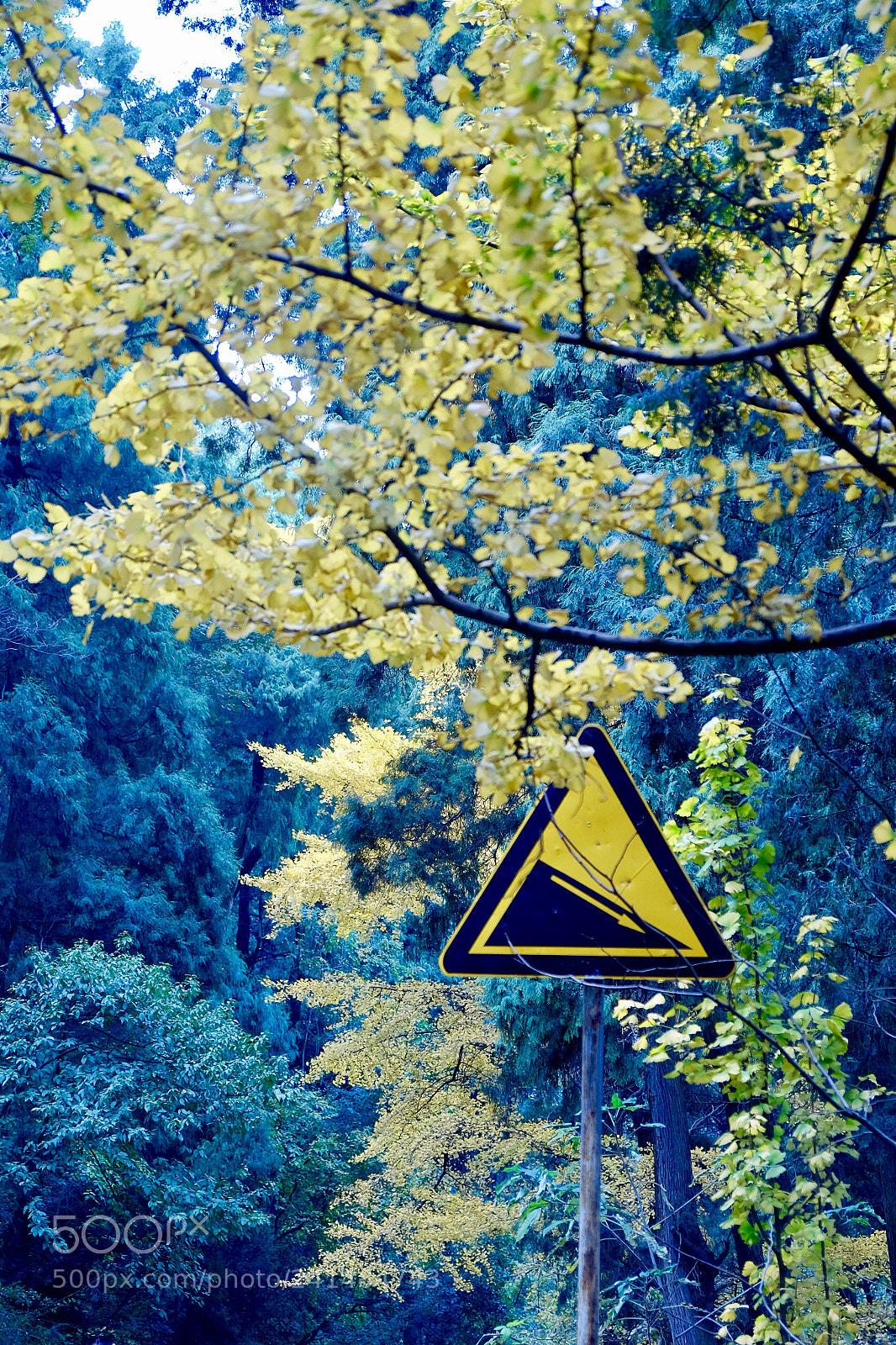 Fujifilm X-E2 sample photo. Yellow & blue photography
