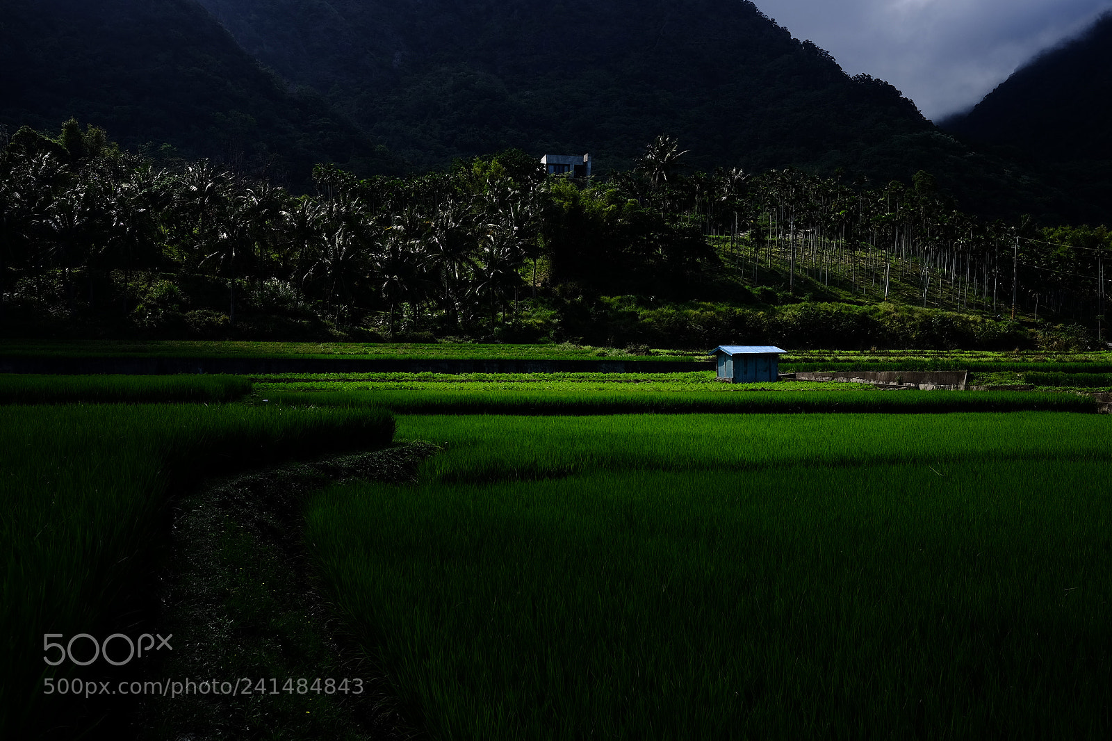 Fujifilm X-T1 sample photo. Untitled photography
