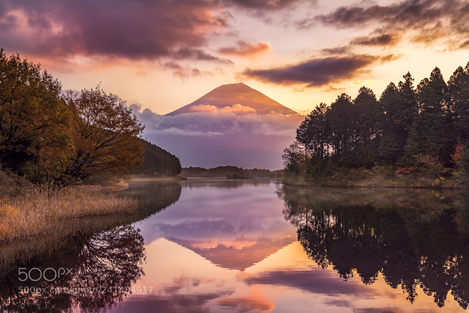 Nikon D810 sample photo. Fuji san morning photography