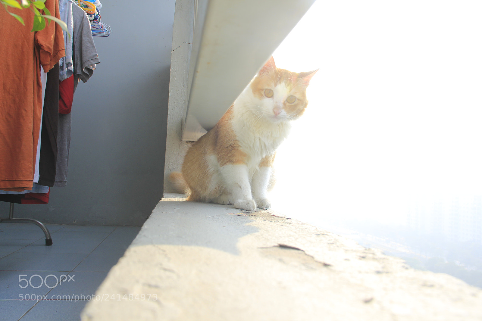 Canon EF-S 18-135mm F3.5-5.6 IS sample photo. Mg photography