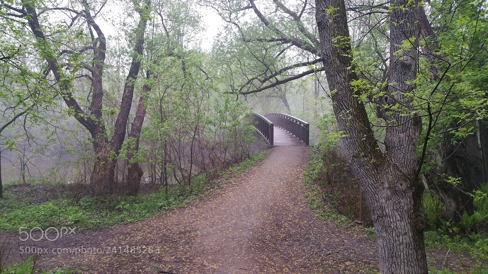 Samsung Galaxy Note4 sample photo. Morning mist photography