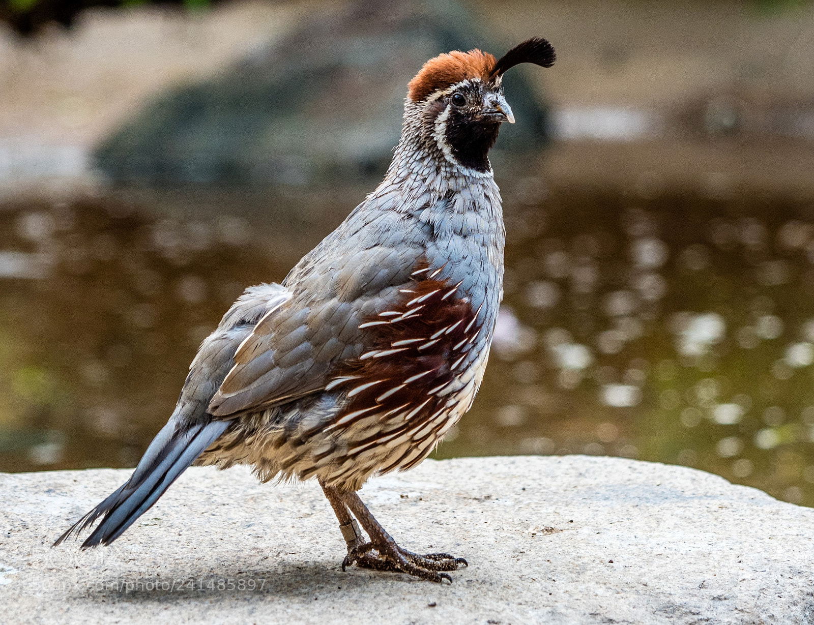 Olympus OM-D E-M5 II sample photo. Some of my favorite photography
