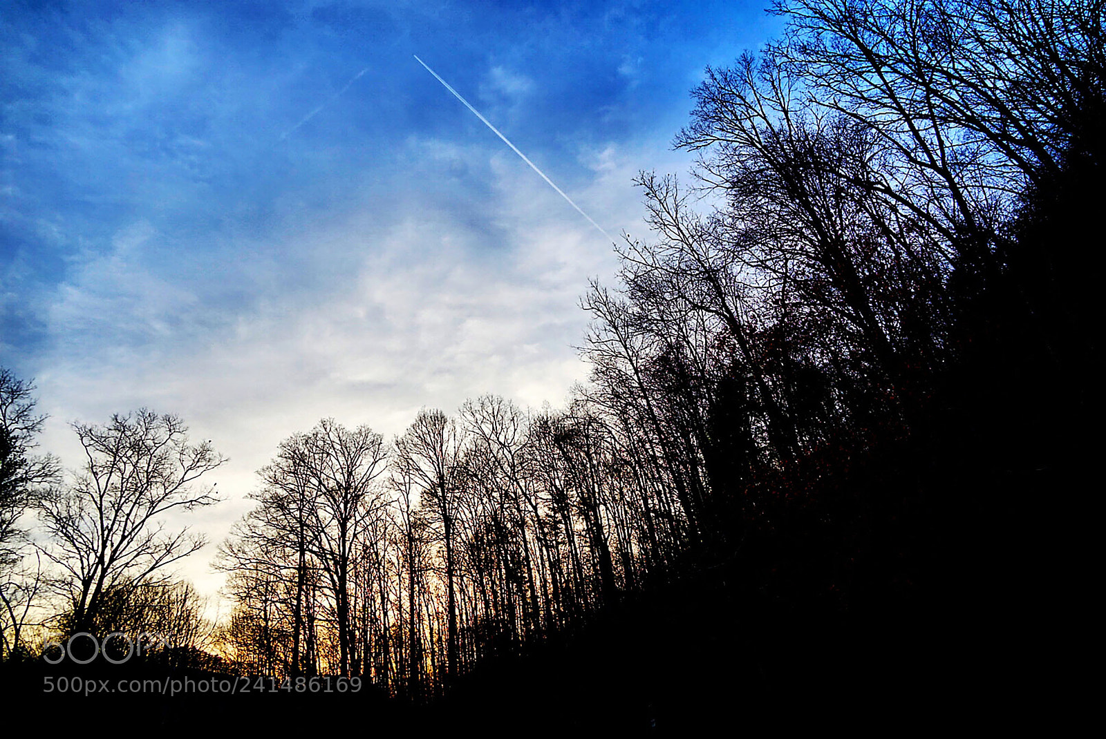 Sony a7 II sample photo. Rocket man photography