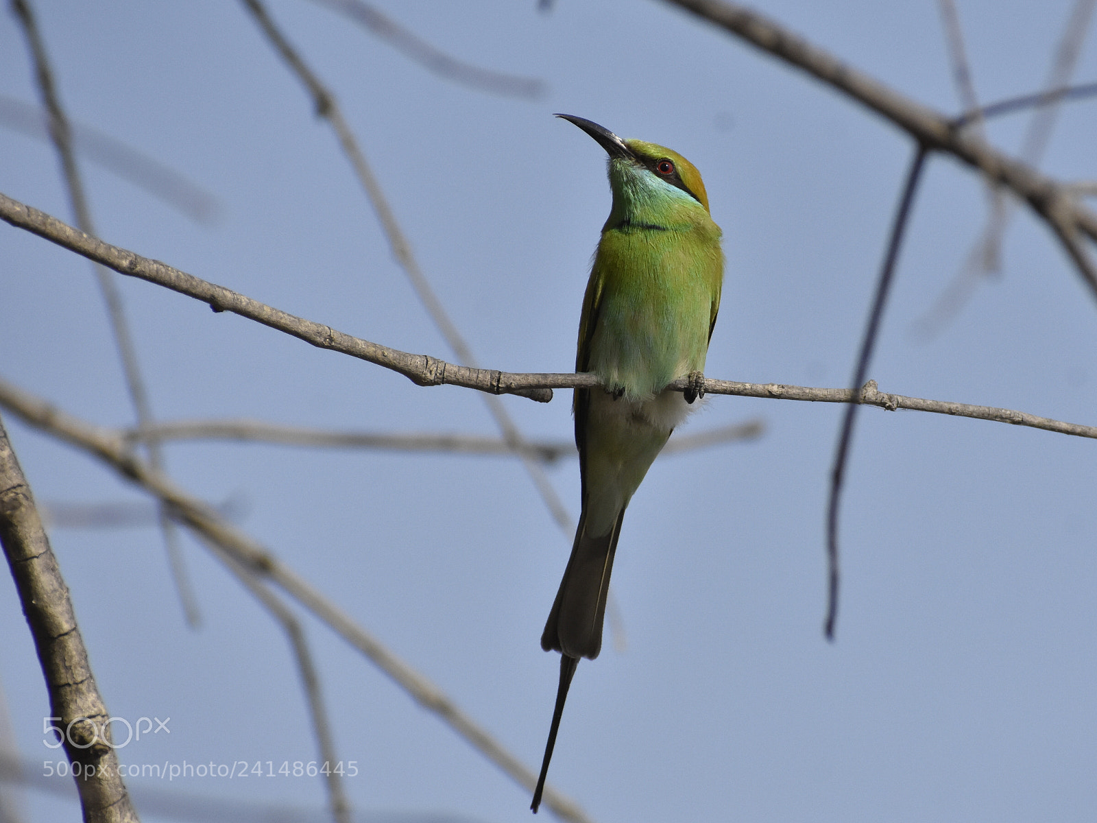 Nikon D3400 sample photo. Waiting photography