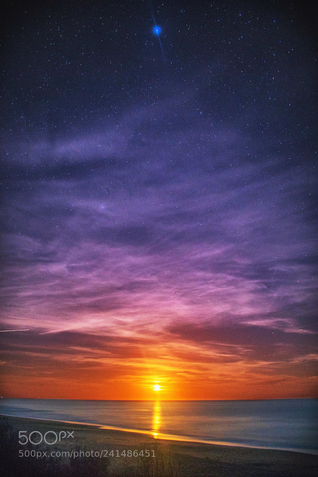 Nikon D5600 sample photo. Yellow moon rise photography