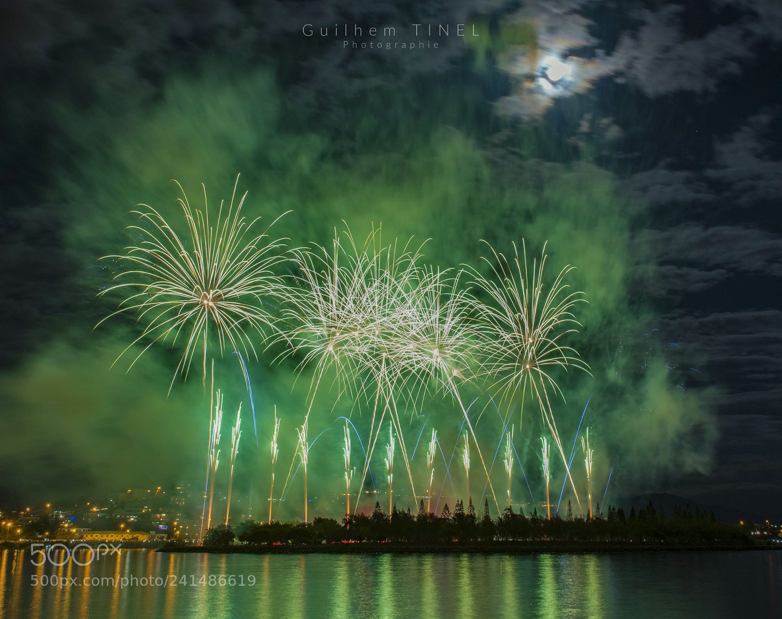 Nikon D810 sample photo. Green fireworks photography