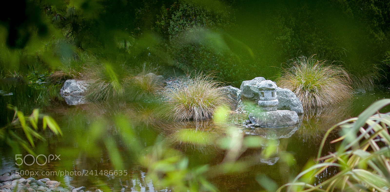 Nikon D300 sample photo. Miyazu gardens ii photography