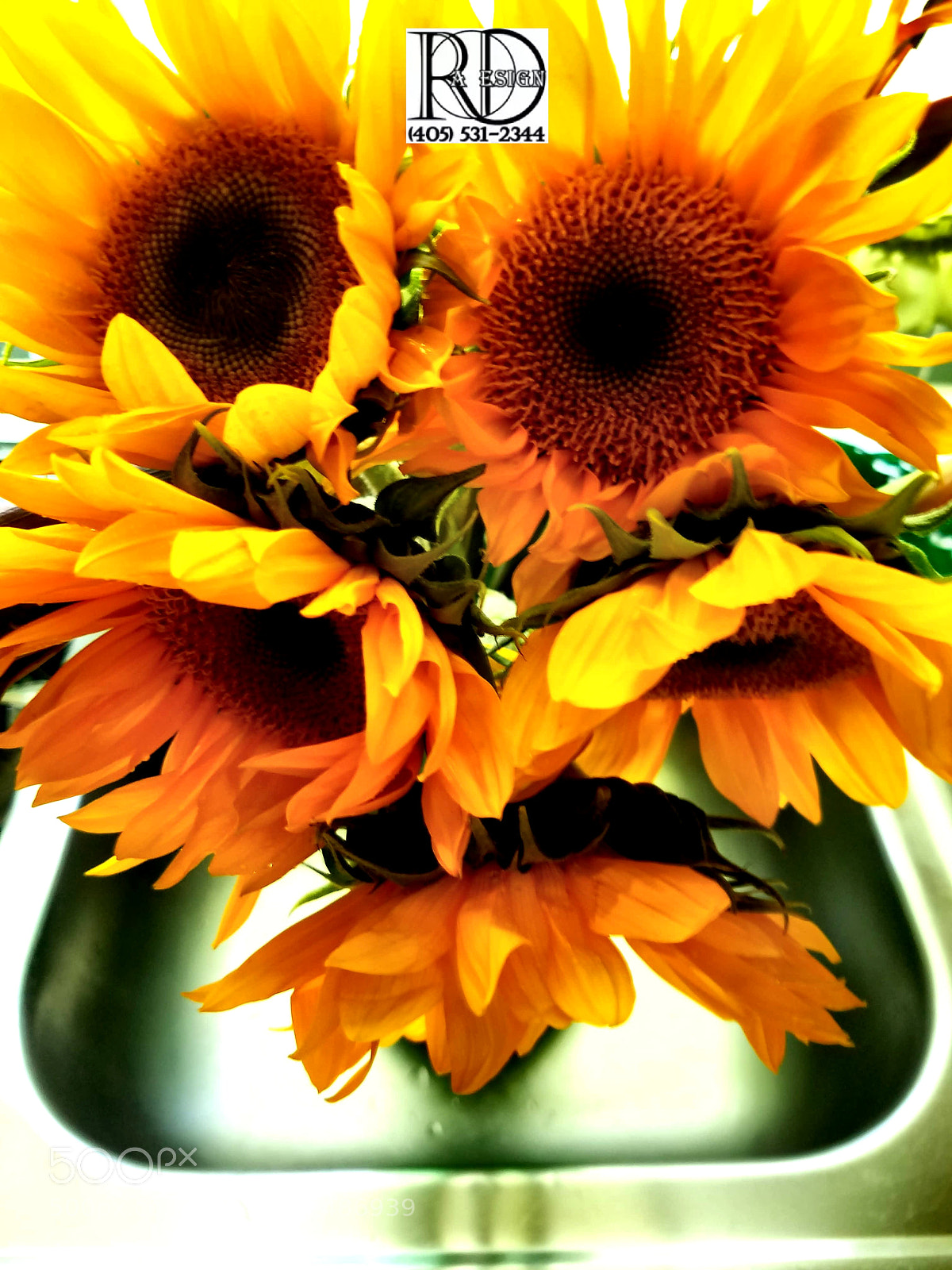 Samsung Galaxy S7 Edge sample photo. Sunflowers bunch photography