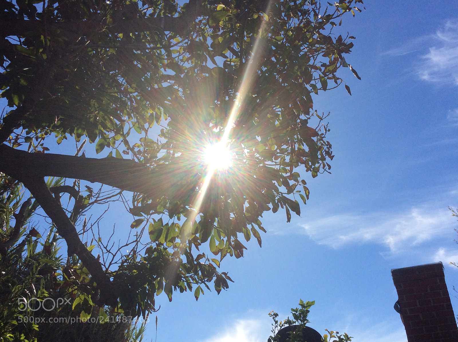 Apple iPad Air sample photo. Rays of life. photography