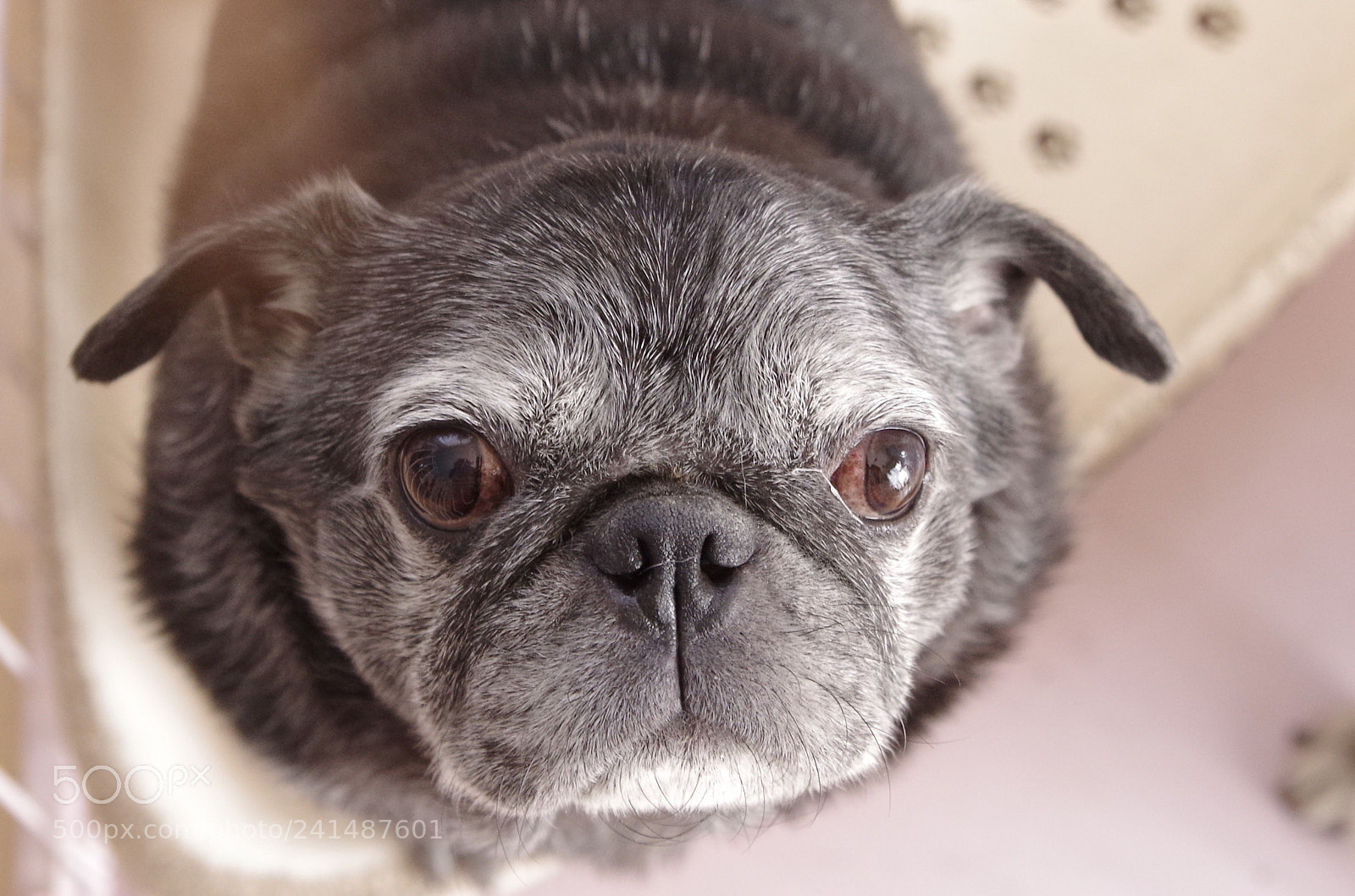 Pentax K-50 sample photo. Family photography