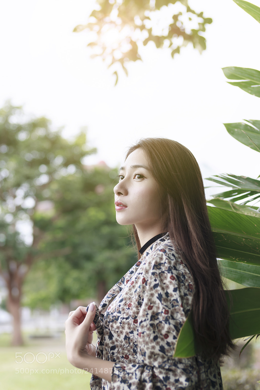 Sony SLT-A99V sample photo. Girl photography