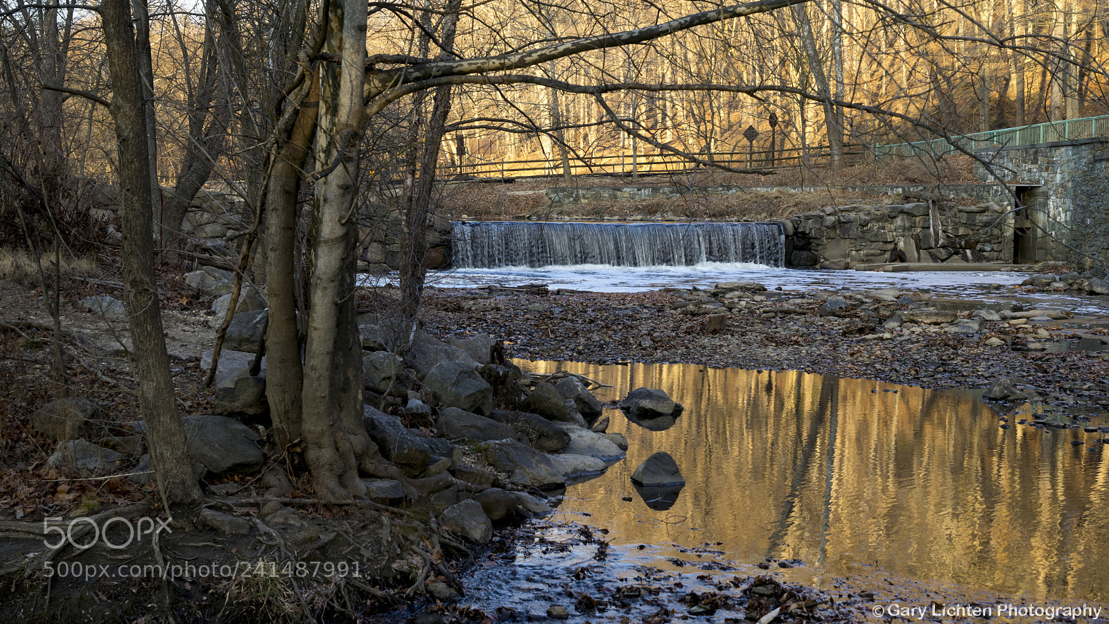 Sony a7R sample photo. Dsc photography