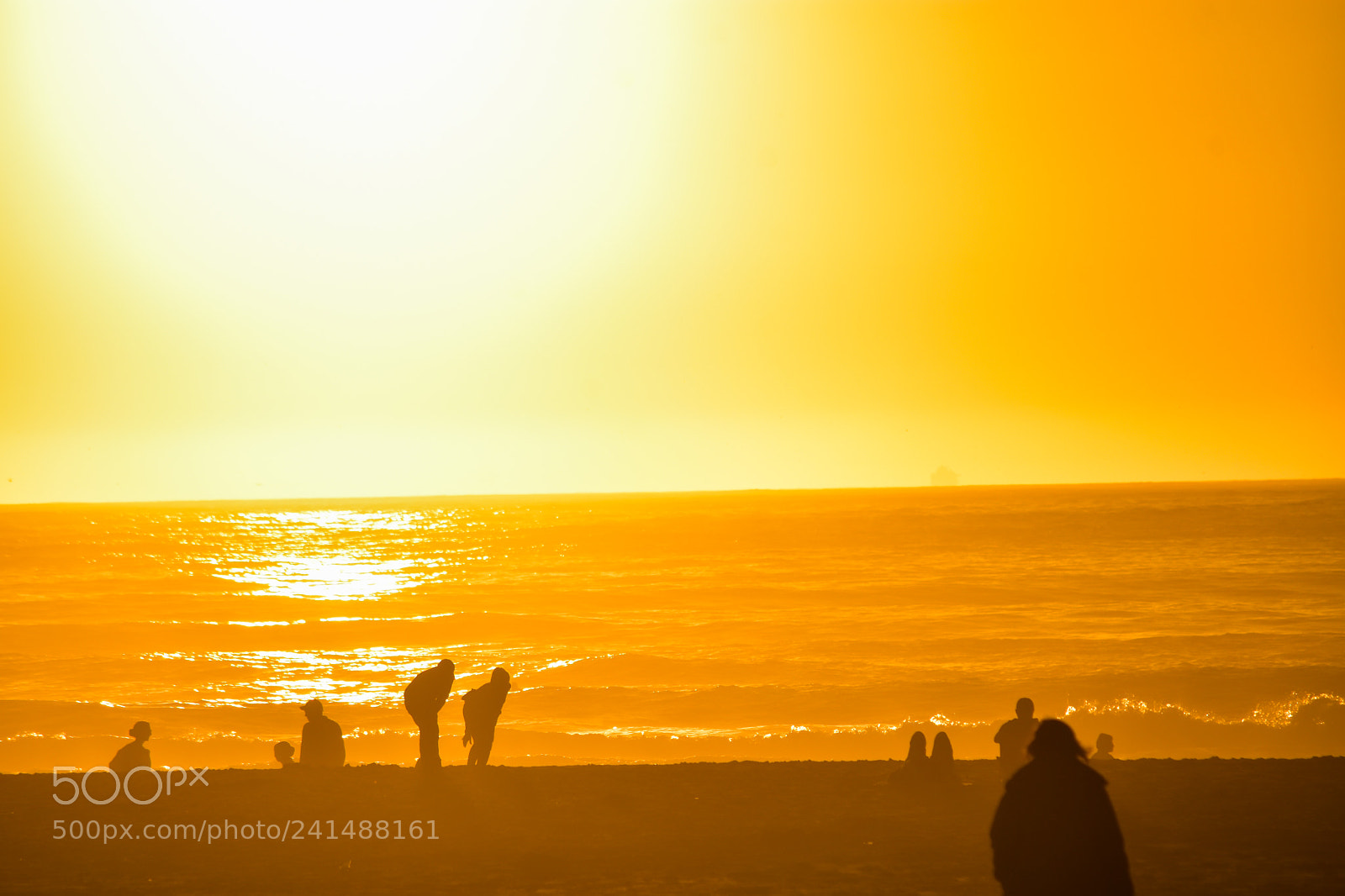 Nikon D7200 sample photo. Golden sun-金色的夕阳 -  1 photography