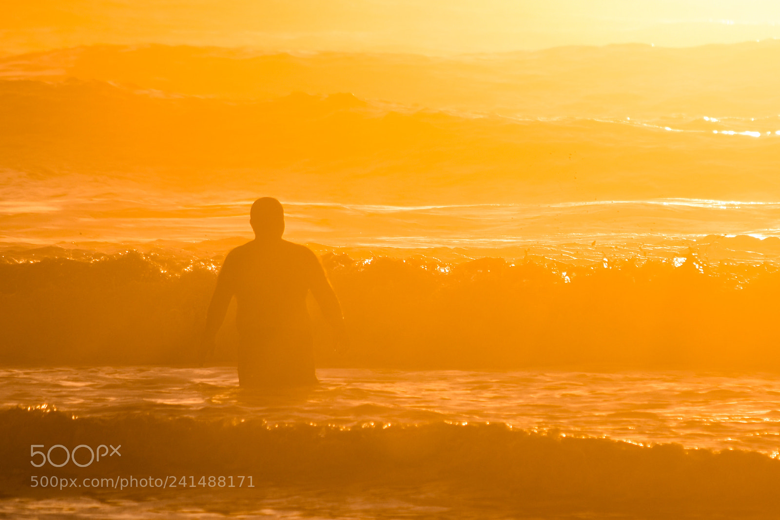 Nikon D7200 sample photo. Golden sun-金色的夕阳 -  5 photography