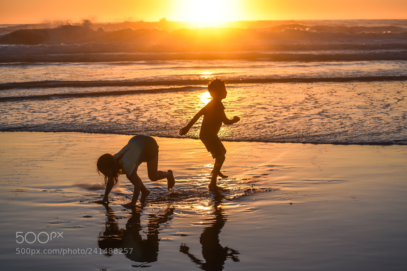Nikon D7200 sample photo. Golden sun-金色的夕阳 -  6 photography