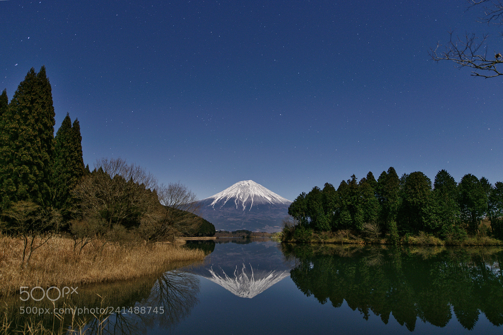 Nikon D750 sample photo. Mt.fuji reflection photography