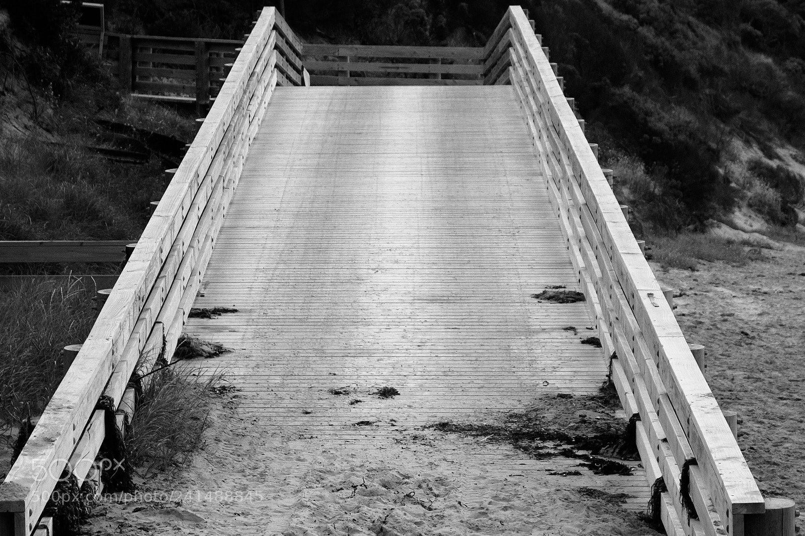 Nikon D3100 sample photo. The way up photography