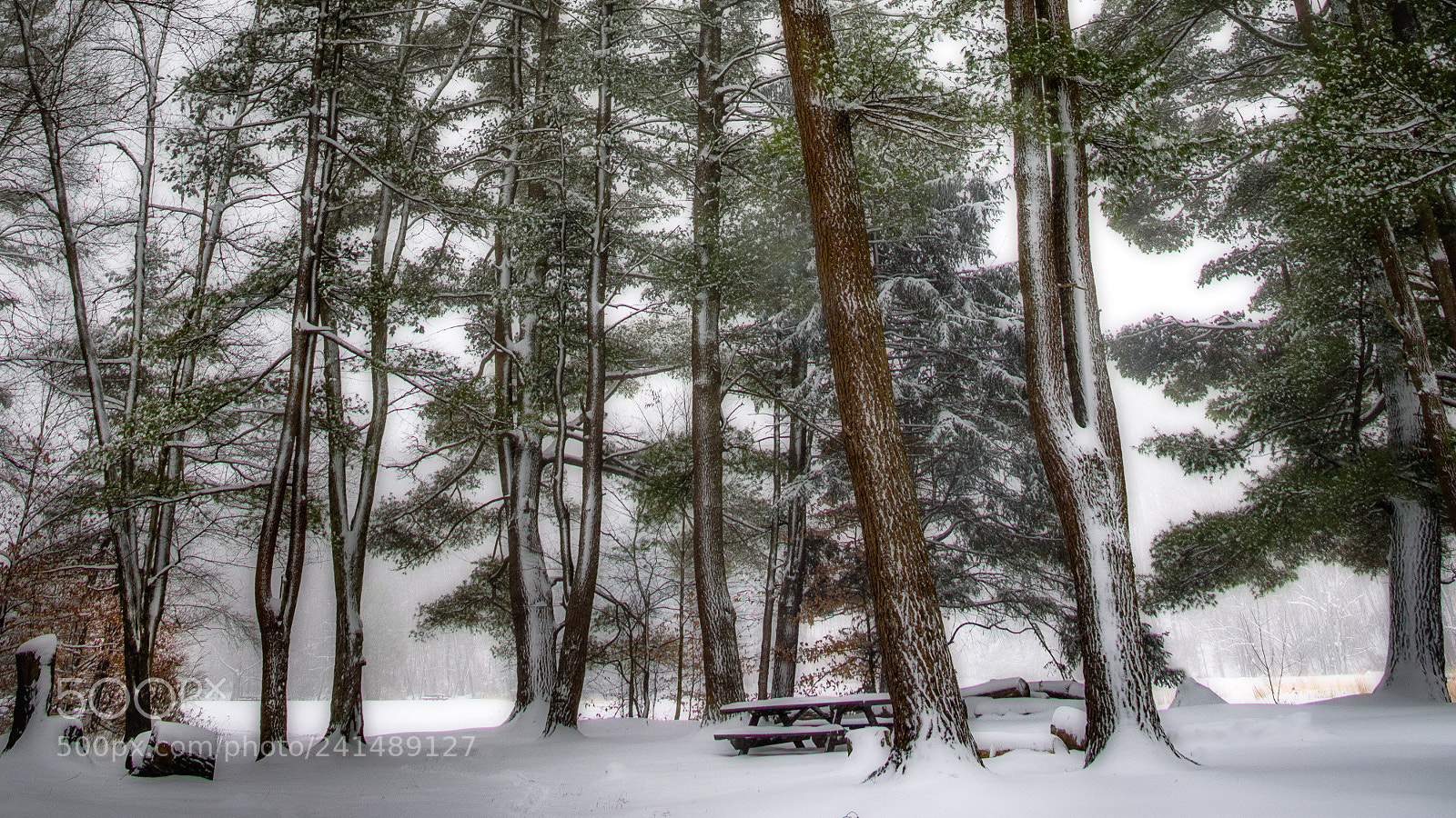 Nikon D810 sample photo. A great day for photography