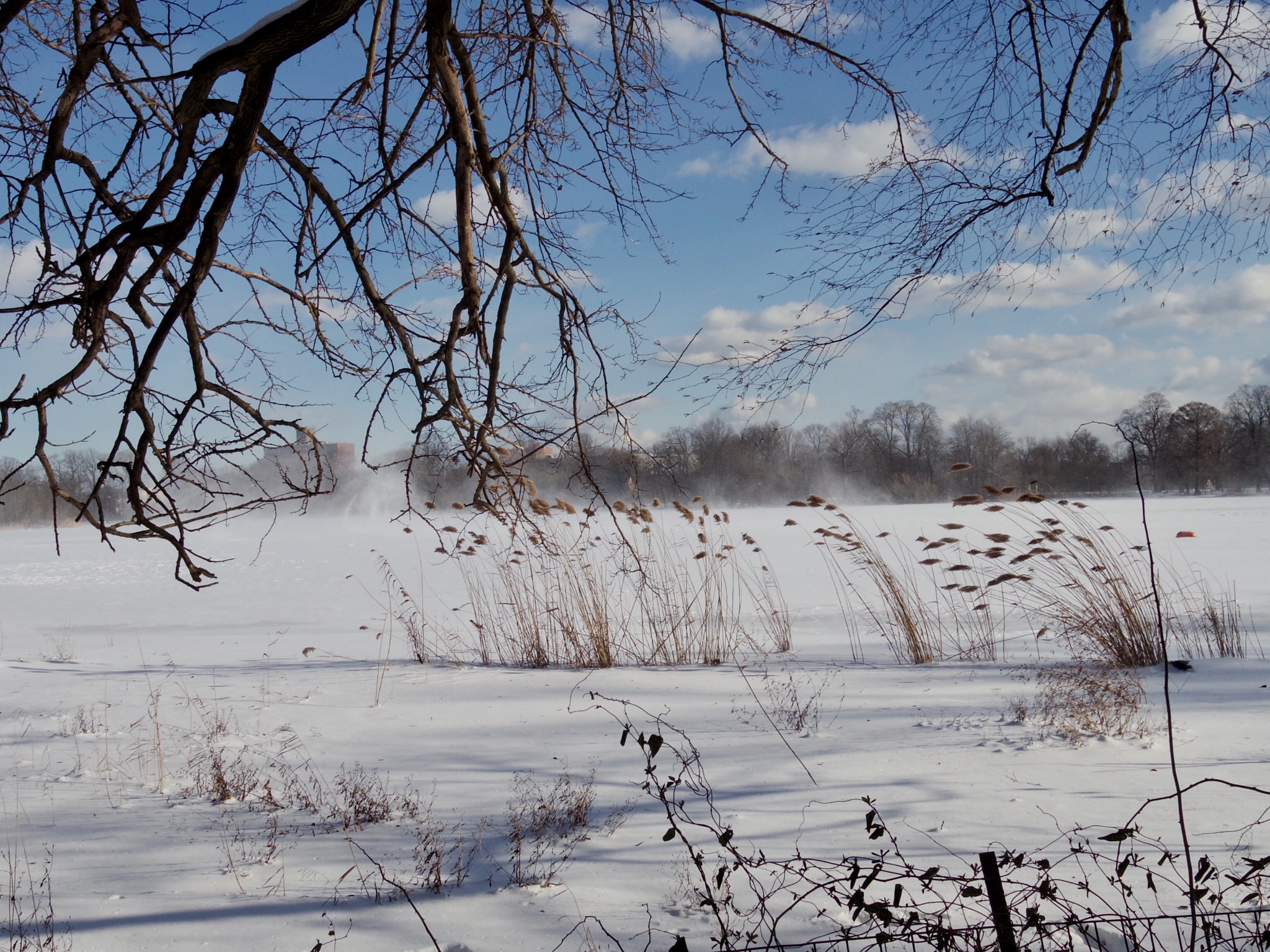 Pentax Q-S1 sample photo. Snow blower photography