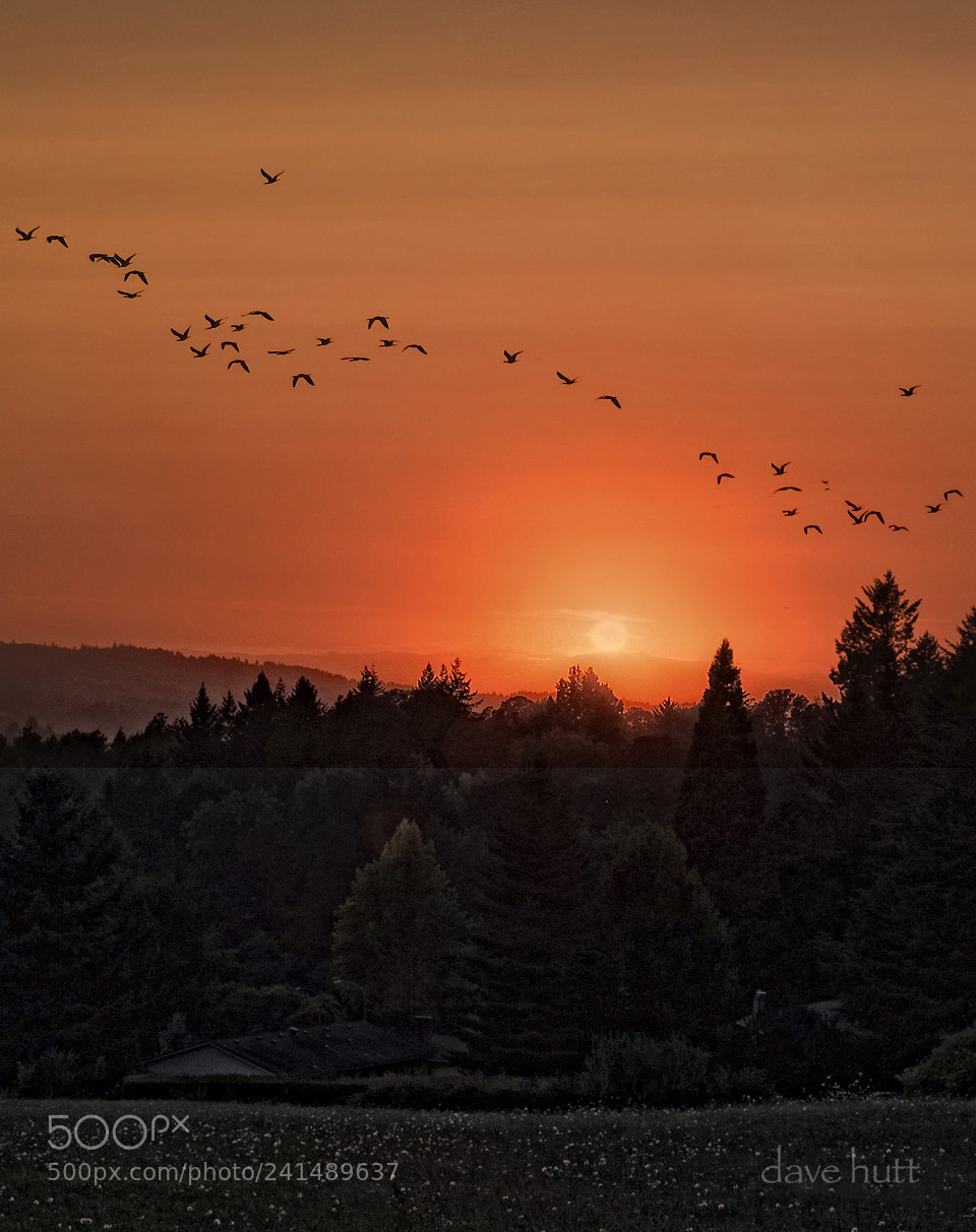 Fujifilm X-E2 sample photo. Oregon sunset photography