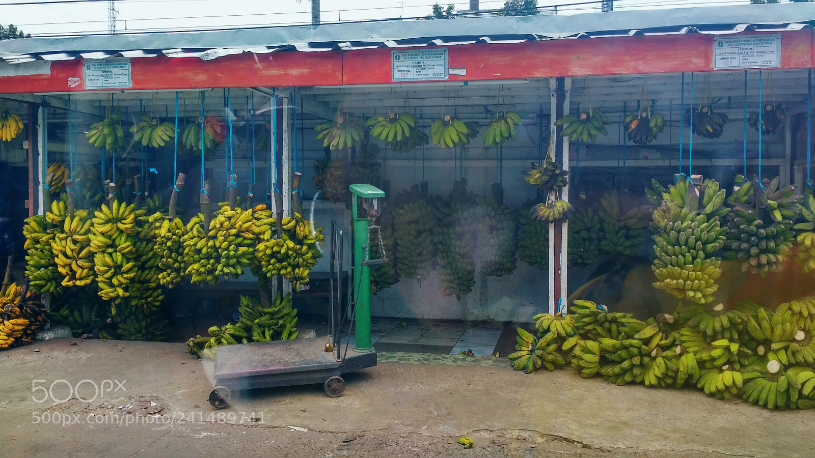 Xiaomi Redmi 3S sample photo. Untitled photography