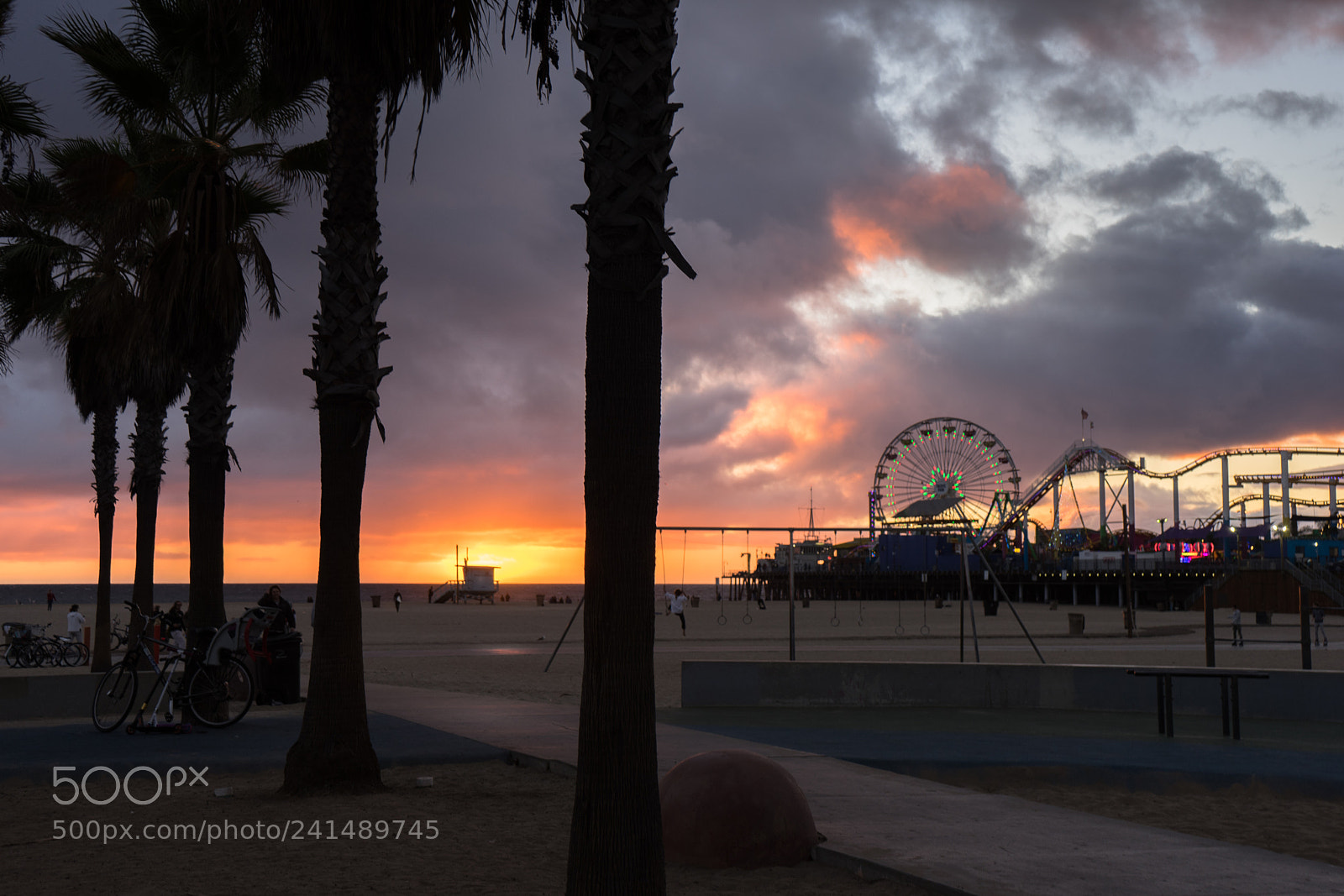Sony a7 II sample photo. Untitled photography