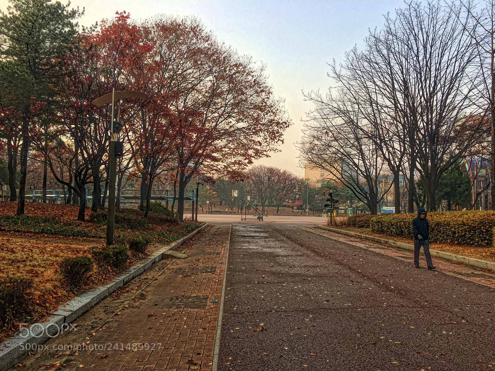 Apple iPhone sample photo. Empty park photography
