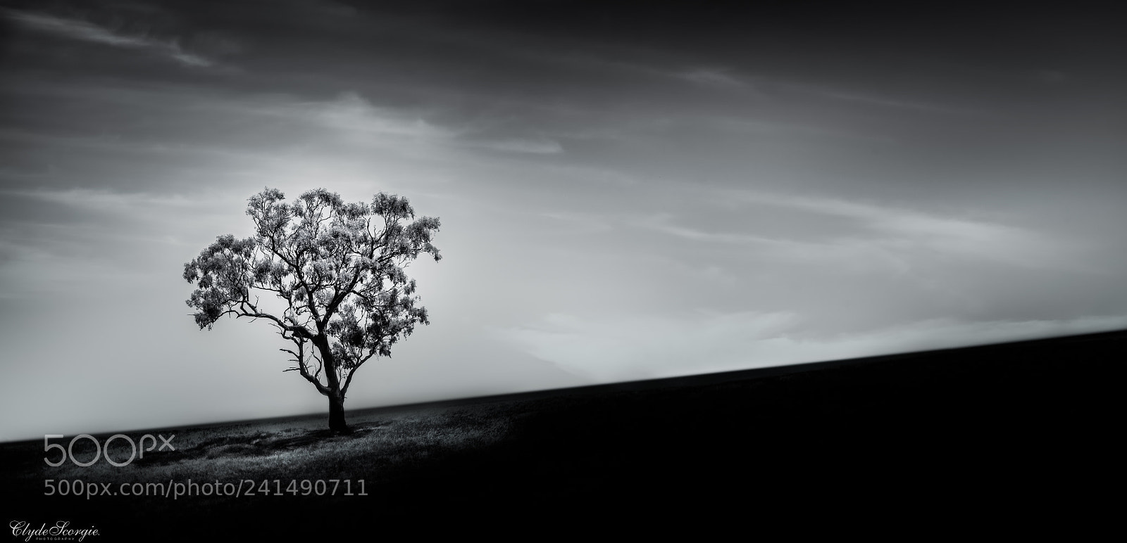 Nikon D810 sample photo. All alone at the photography