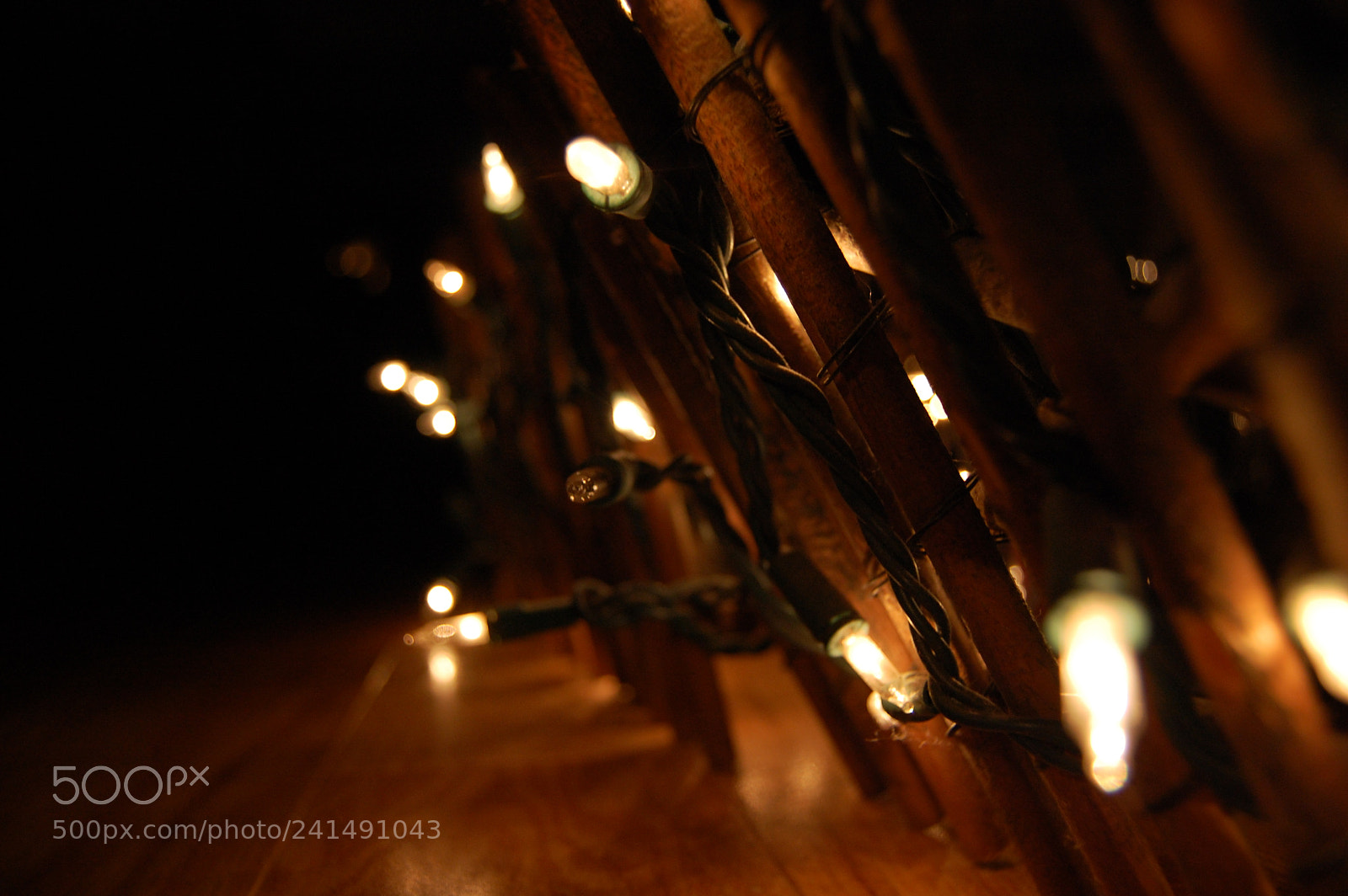 Nikon D40 sample photo. Lights on the fence photography