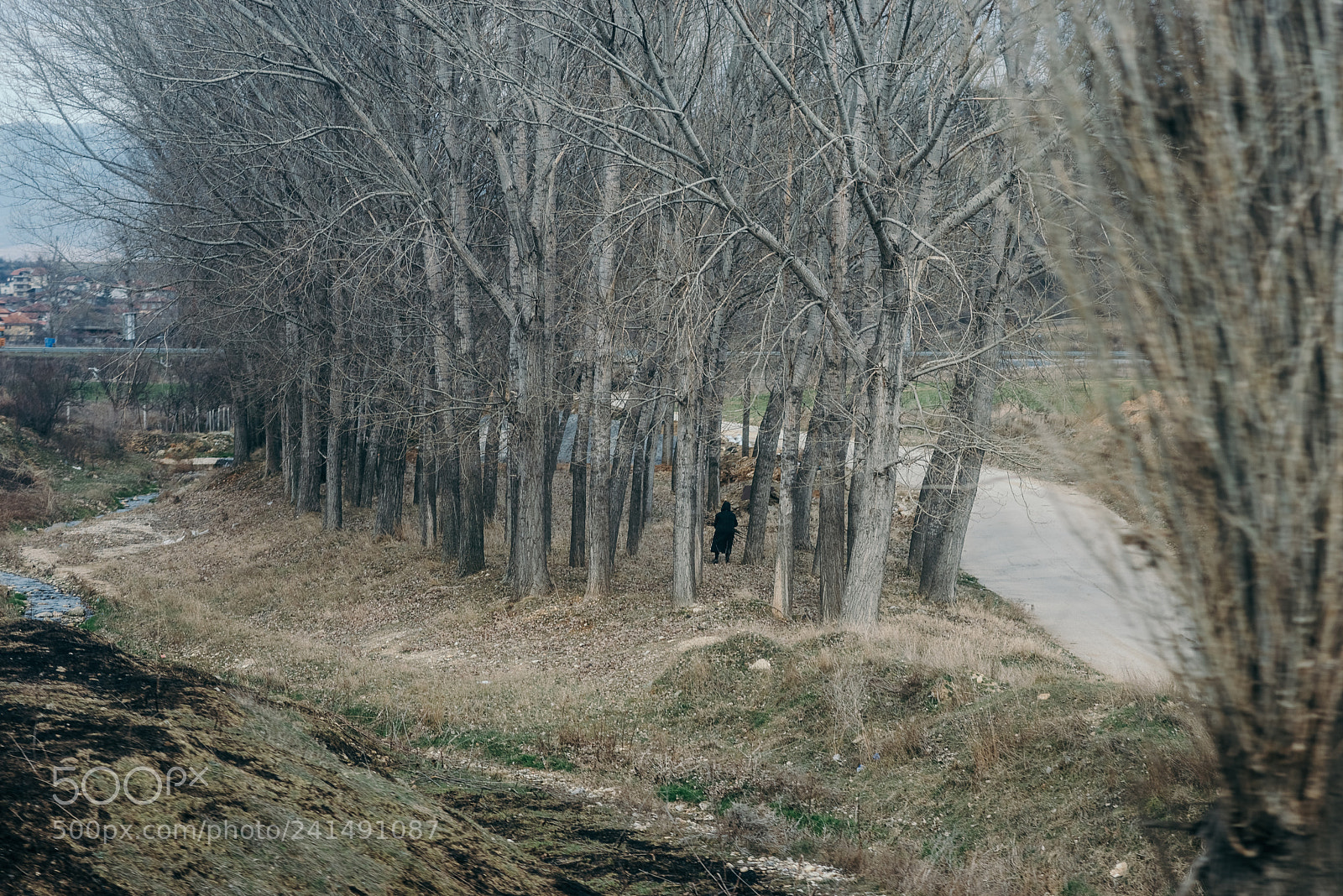 Nikon D800 sample photo. Wanderings & encounters    3/20 photography