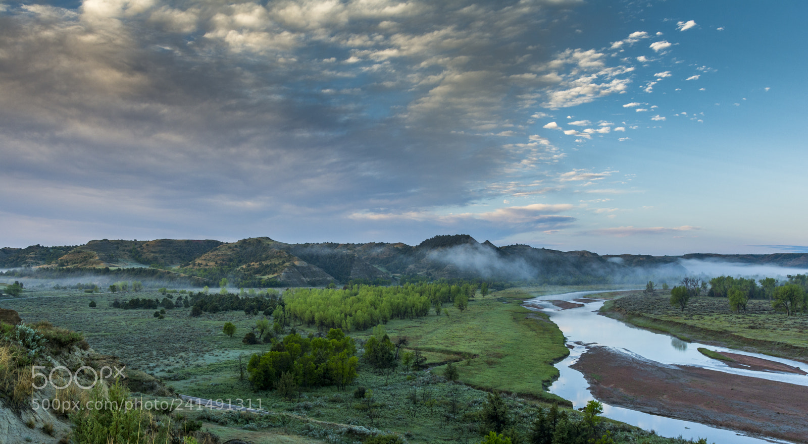 Nikon D7100 sample photo. Foggy morning photography