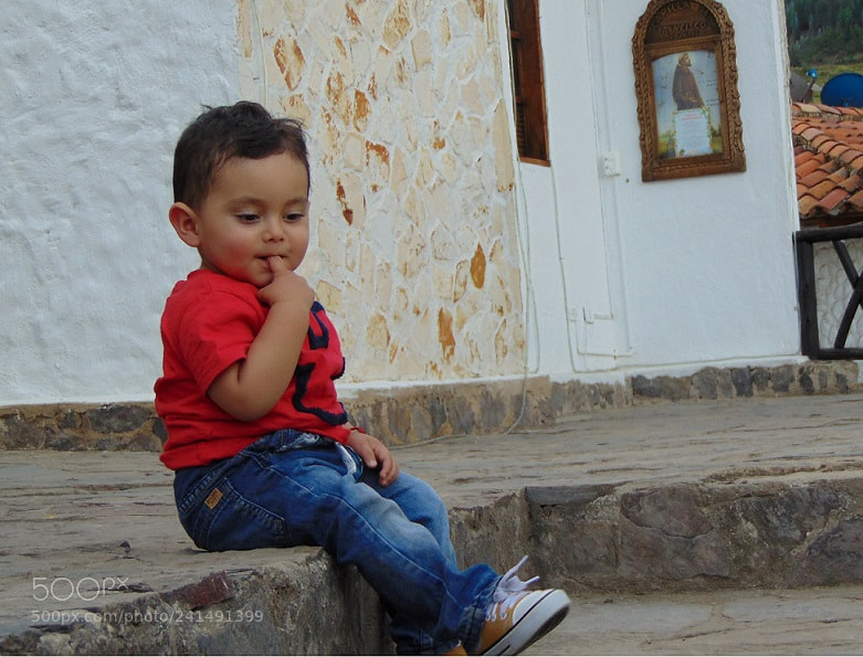 Sony Cyber-shot DSC-H300 sample photo. Principe photography