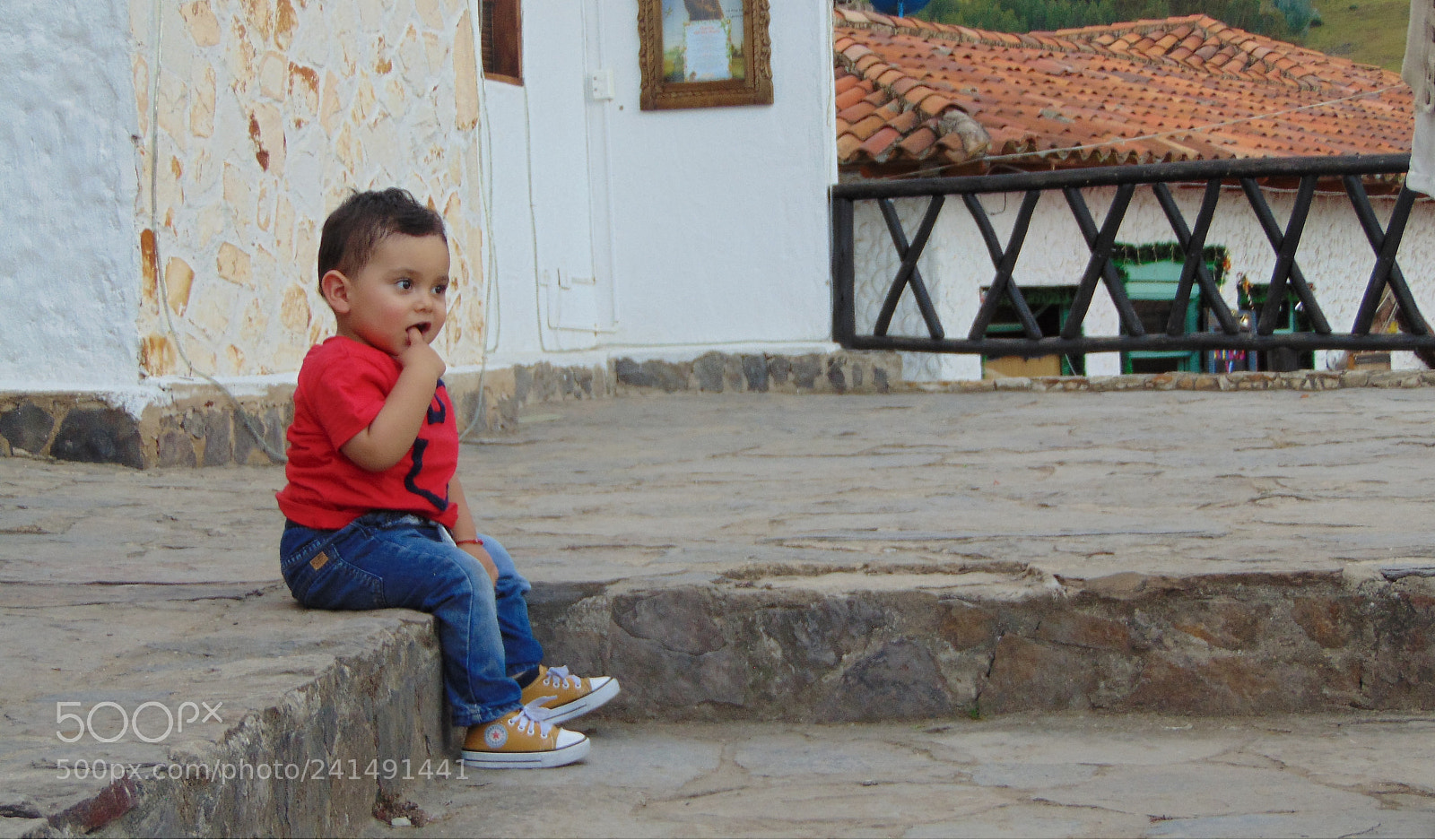 Sony Cyber-shot DSC-H300 sample photo. Principe photography
