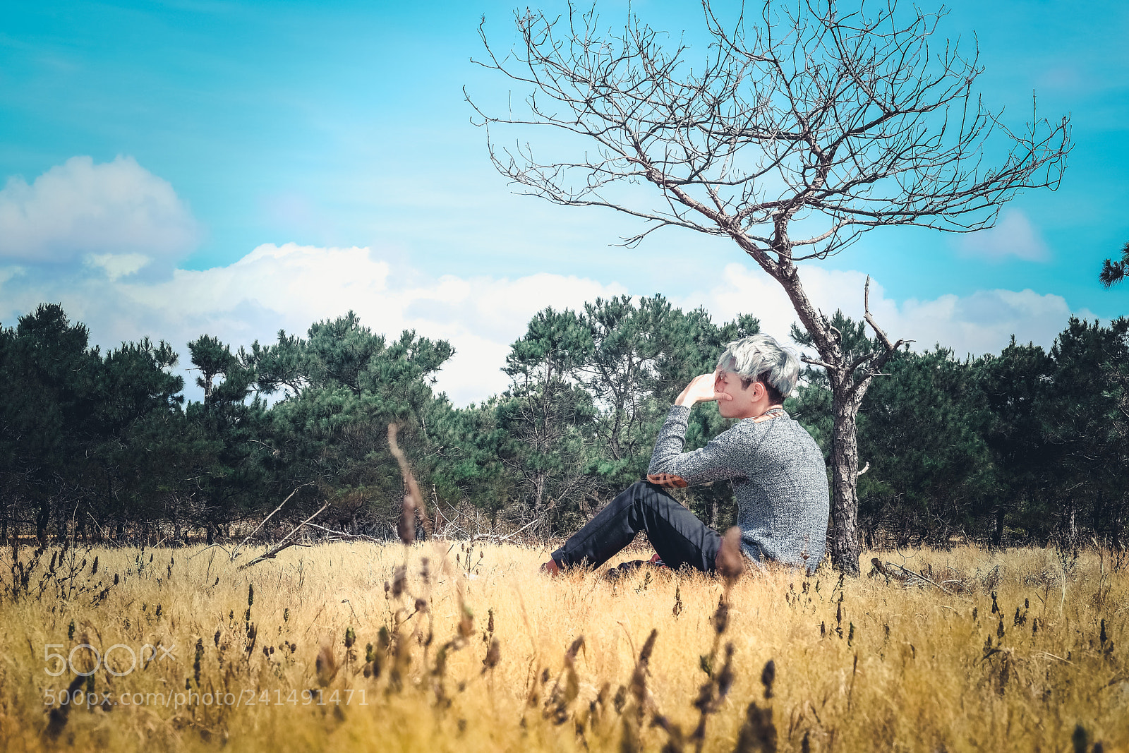 Fujifilm X-Pro2 sample photo. Alone photography
