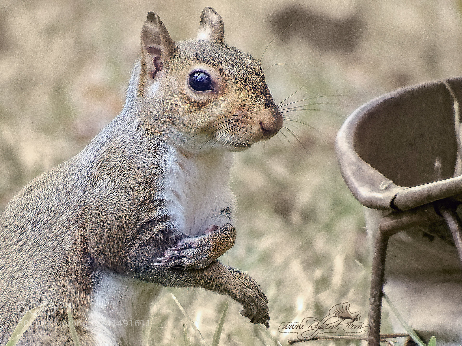 Fujifilm FinePix S1 sample photo. Cross my heart i photography