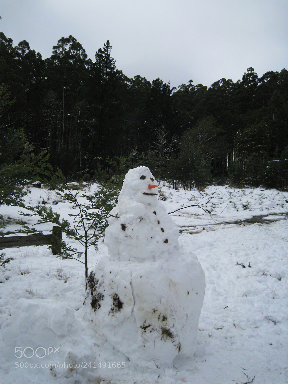 Canon DIGITAL IXUS 960 IS sample photo. Snow man photography