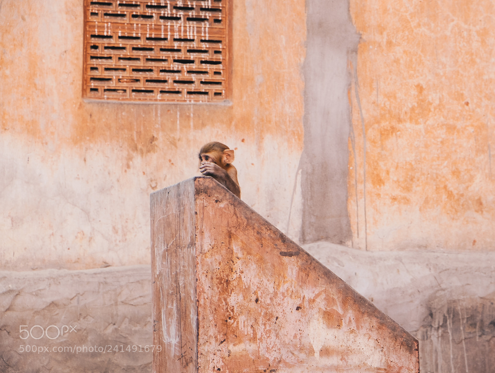 Fujifilm X-E2 sample photo. Jaipur, india. photography