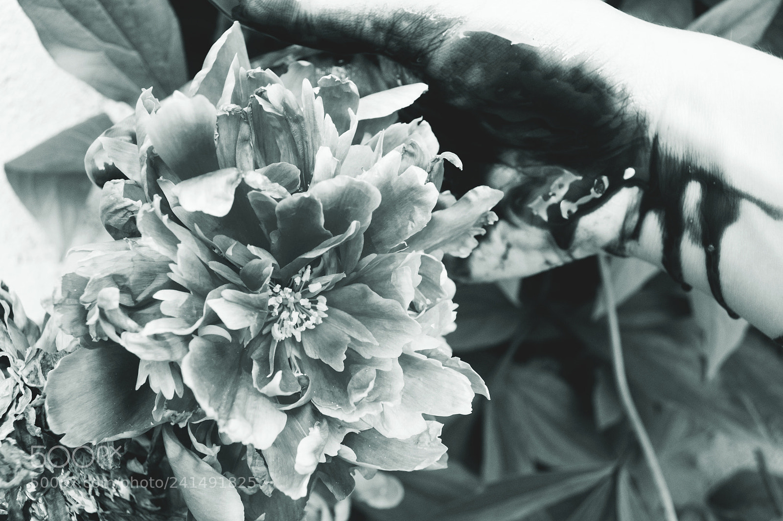 Nikon D3100 sample photo. Viscous photography
