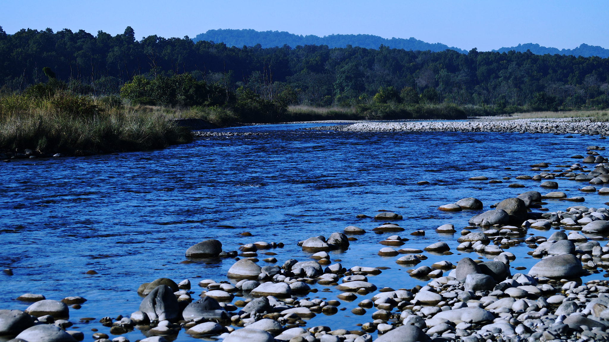 Sony SLT-A57 sample photo. On the banks of ramganga photography