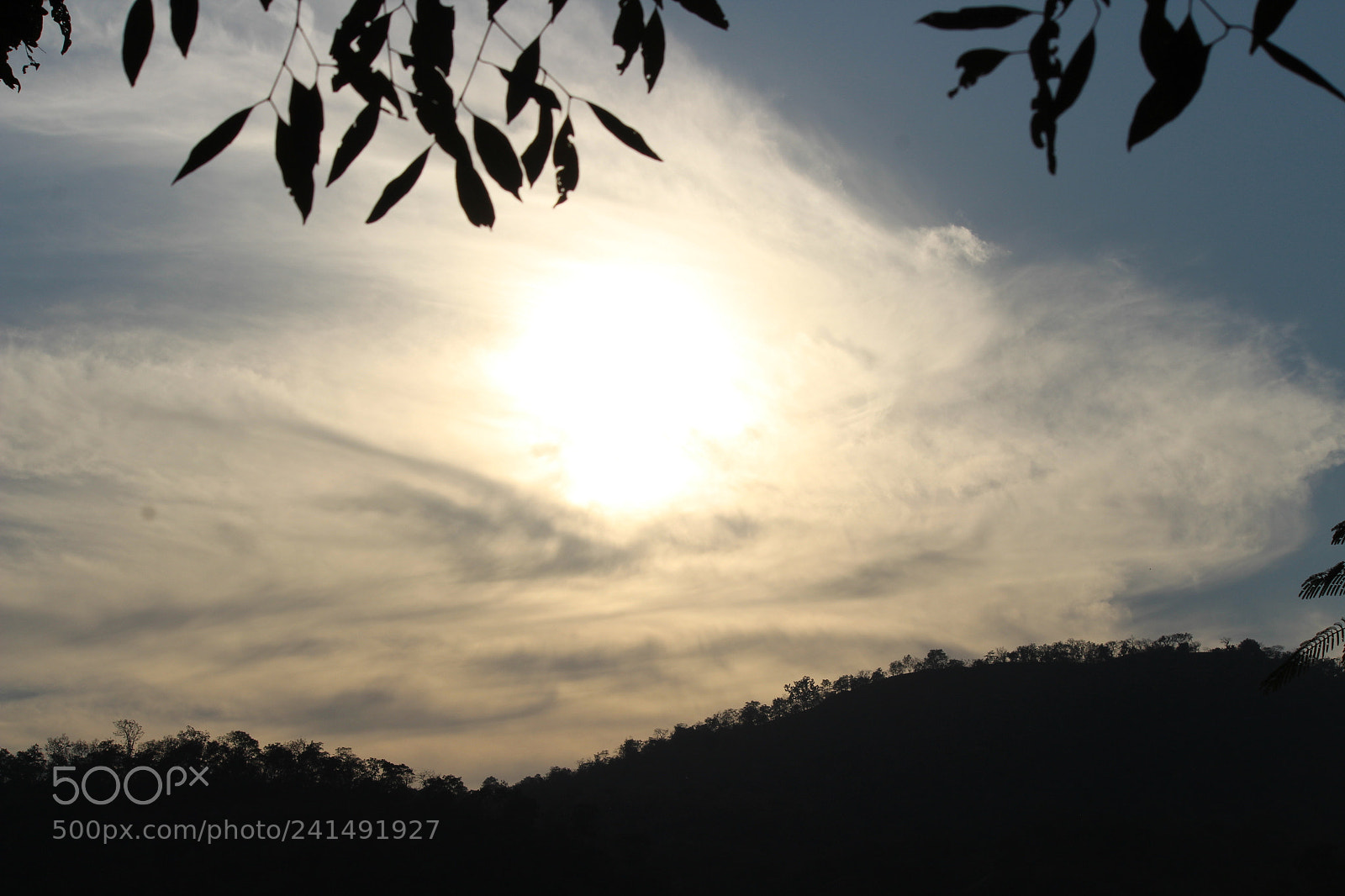 Canon EF-S 55-250mm F4-5.6 IS II sample photo. Untitled photography