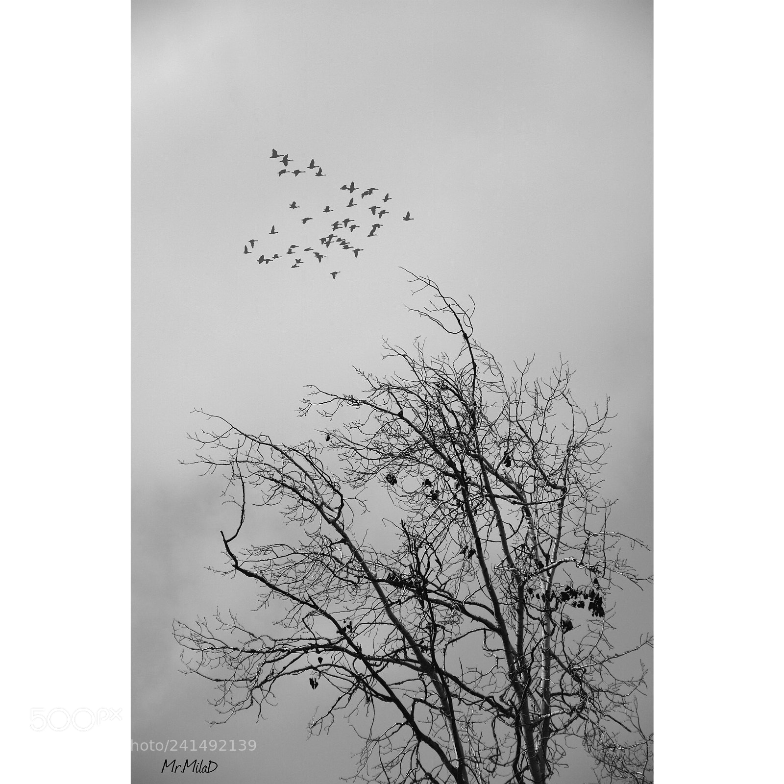 Nikon D7200 sample photo. Alone photography
